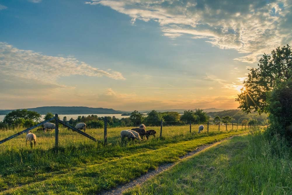 Understanding Easements: What You Need to Know