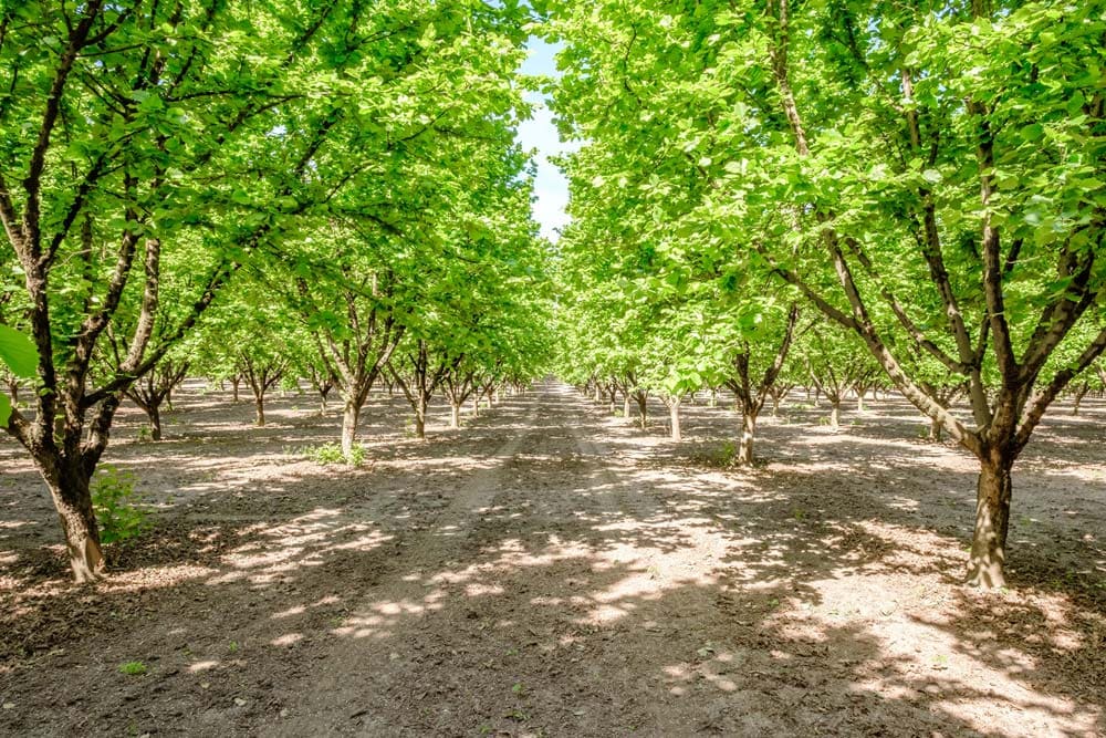 Oregon is an Agriculturally